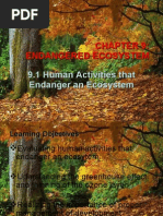 Download Chapter 9 Endanger Ecosystem by Saudah Mohd Noor by kiwi6124 SN19217976 doc pdf