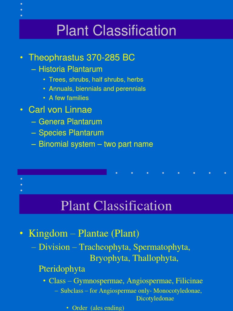 Plant Classification PDF Gardens Plant Taxonomy