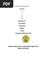 Download Ahidrosepalus by Mus Lem SN192207302 doc pdf