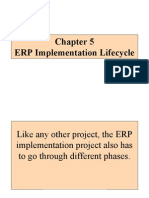 Chapter 5 - ERP Implementation Lifecycle 08