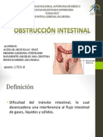 Onstruccion Intestinal (Cirugia)