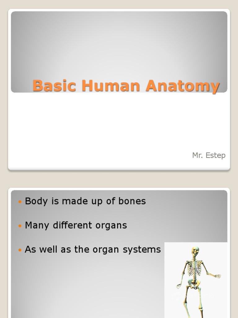 Basic Human Anatomy: Mr. Estep | PDF | Social Science | Wellness