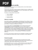 Lucian Pricop, Ada Solomon, Maxim Meca - Marketing Si Cinema | PDF