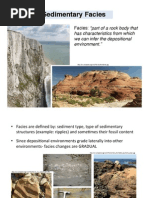 Facies Sedimen