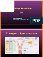 Fisiologi Kehamilan