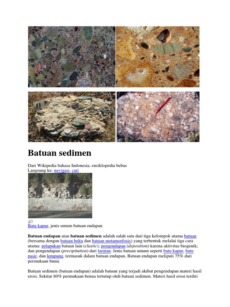 Batu Apung Termasuk Jenis Batuan Apa