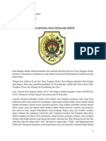 Download Kota Kupang Kelompok A9 by Faradiba Febriani SN192292907 doc pdf