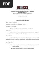 1 Check Do Paper de Fisica 2