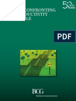 Boston Consulting Group - Brazil Confronting The Productivity Challenge