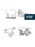 Different Animal Parts
