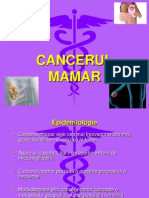 Cancerul Mamar 2