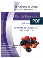 Plan de Negocios La Morita de Chiapas, S.A. de R.L. de C.v.finaL