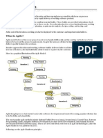 Agile Model PDF