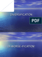 Diversification (Business Policy)