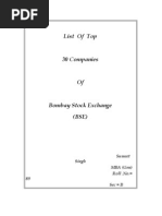 Download top 30 campanies of bse by SSRules SN19238810 doc pdf