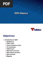 SDH Basics