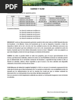 Download Practica Subred y VLSM by jhormancely SN19241850 doc pdf