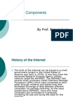 Internet Components: by Prof. Brijesh Joshi