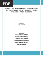 Download Management Information System in Petrol Sales and Operations Company by JD_04 SN19242234 doc pdf