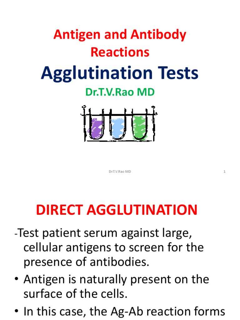 Antigen and Antibody Reactions Agglutination Tests PDF Elisa