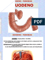 Duodeno y Pancreas-2