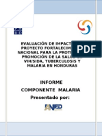 Informe Final Malaria