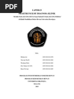 Download Laporan Praktikum Klinik by Yusvani Nur Rohmah SN192473261 doc pdf