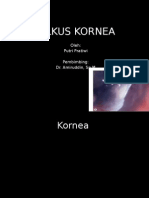 Ulkus Kornea