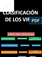 Clasificación de Los Virus