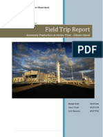 Field Trip Report - Final