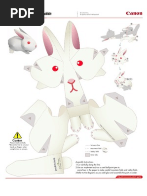 Rabbit Papercraft Assembly Guide | PDF
