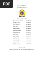Download Laporan Skenario a Blok 14 by riedha_chanz SN192498859 doc pdf