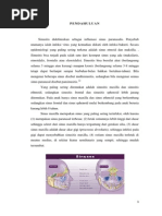 Download Referat Sinusitis by Prasetya Setya SN192516168 doc pdf