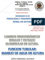 Renal en Altura 2013 Grupo A