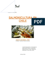 Salmonicultura Chile: historia, industria, especies