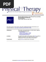 Dynamic Biomechanics of The Normal Foot and Ankle During Walkin & Running