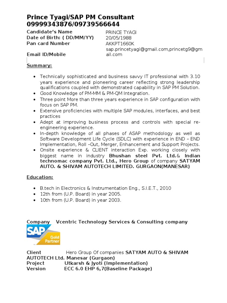 SAP PM SAMPLE Resume PDF Information Technology Management