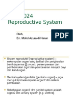 Reproductive System