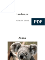 Landscape: Plant and Animal
