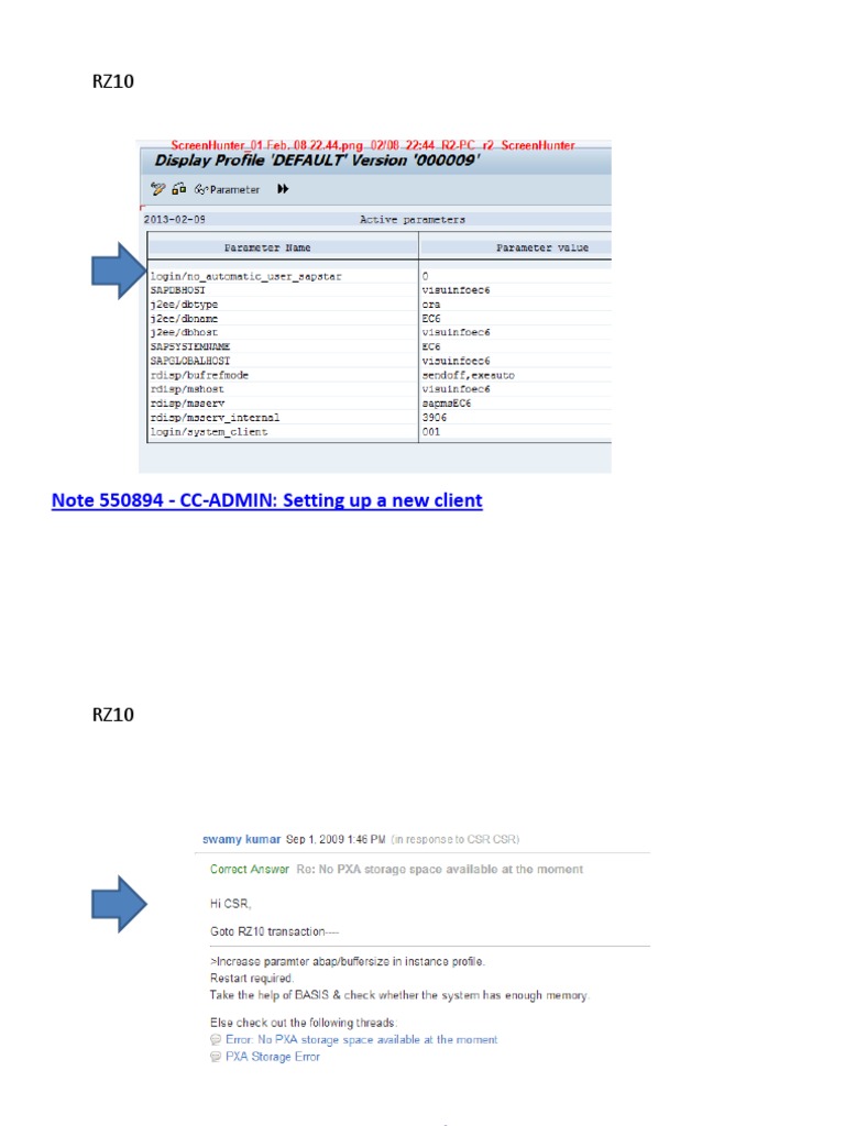 RZ10 Client Setup Guide for SAP | PDF