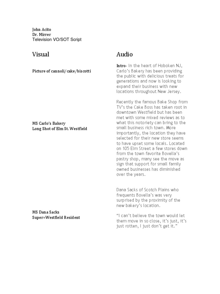 Cake Boss VO/SOT Script | PDF
