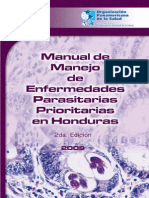 Manual IAV 2009