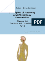 Principles of Anatomy and Physiology: Gerard J. Tortora - Bryan Derrickson