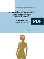 Principles of Anatomy and Physiology: Gerard J. Tortora - Bryan Derrickson