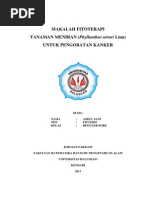 Download Makalah Fitoterapi Meniran Antikanker by Accung Buccu SN192629376 doc pdf
