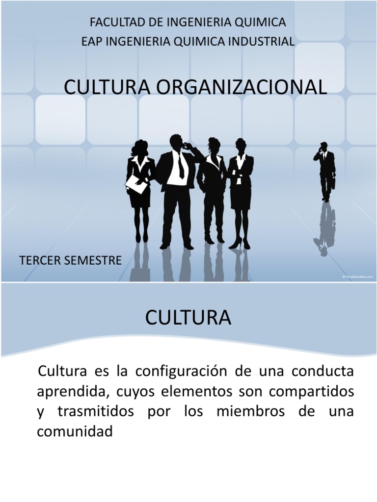 Definición y Dimensiones de Cultura Organizacional | PDF | Cultura ...