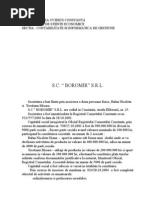 Plan de Afaceri - SC Boromir SA