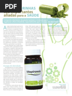 Algas Marinhas são importantes aliadas para a saúde