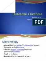 Histotoxic Clostridia