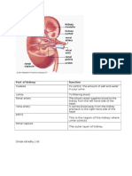 Part of Kidney